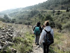 photo coins arrondis